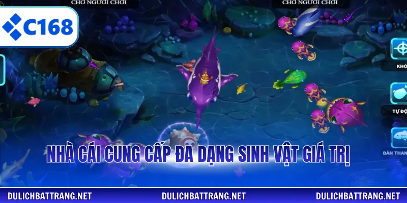 Nhà cái cung cấp đa dạng sinh vật giá trị