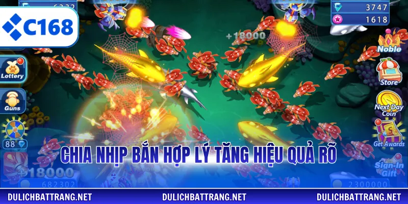 Chia nhịp bắn hợp lý tăng hiệu quả rõ